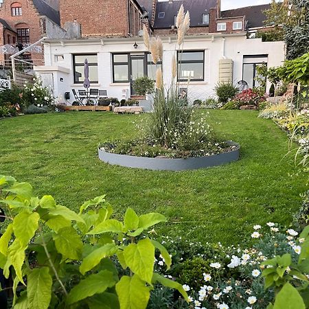 Le Petit Paradis Cassel Extérieur photo