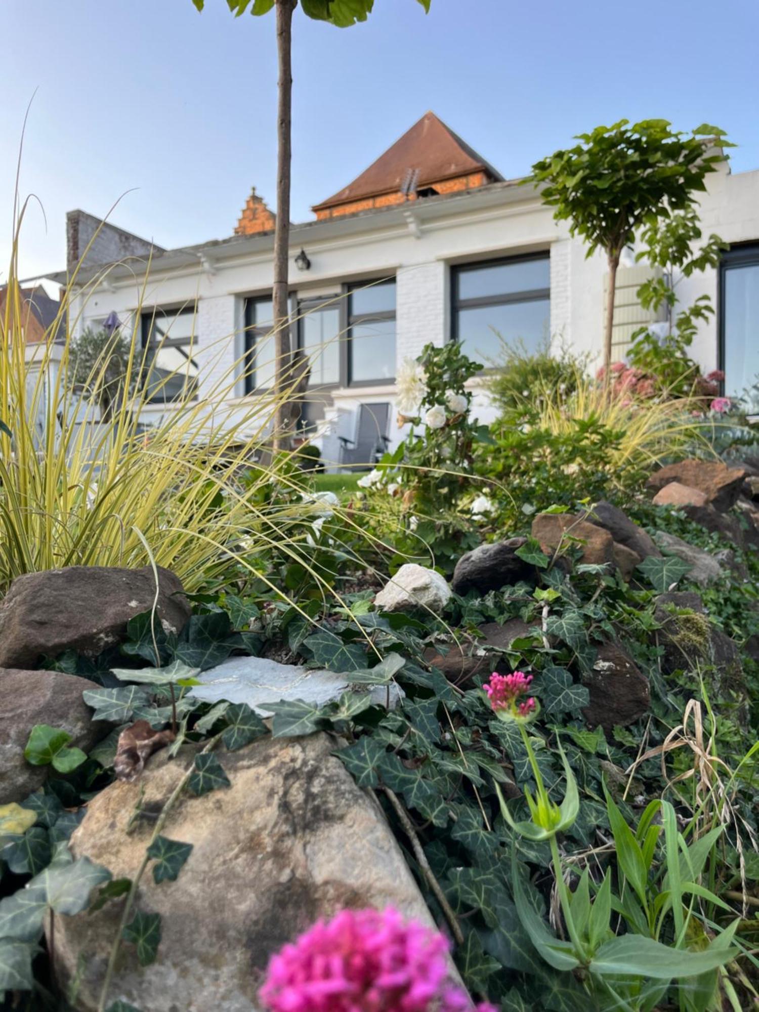 Le Petit Paradis Cassel Extérieur photo