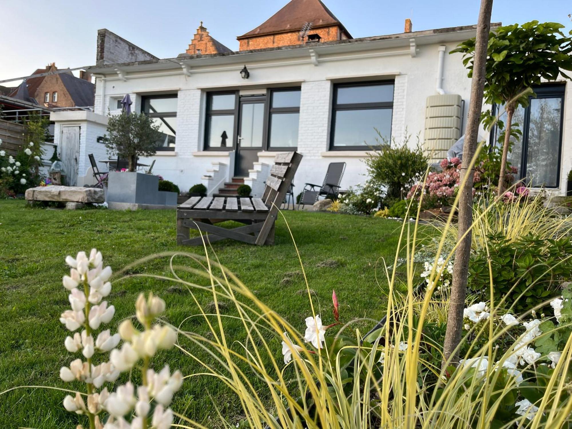 Le Petit Paradis Cassel Extérieur photo