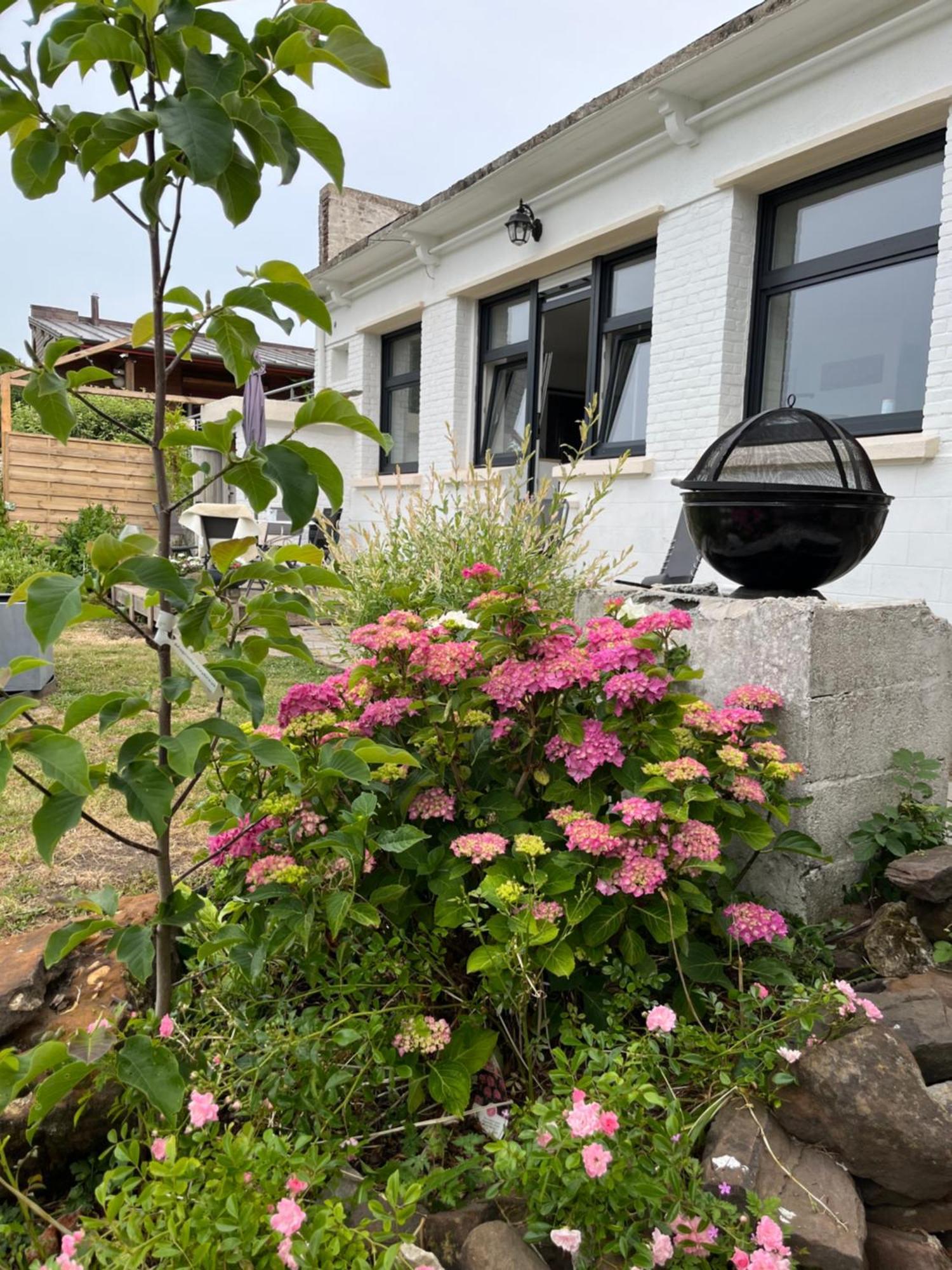 Le Petit Paradis Cassel Extérieur photo