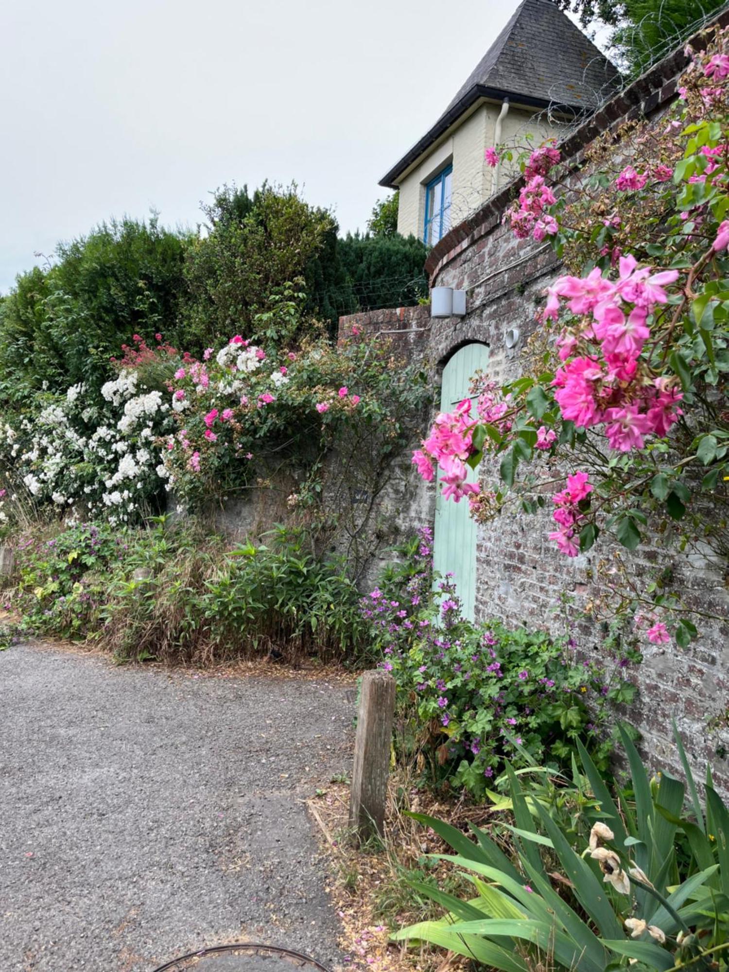 Le Petit Paradis Cassel Extérieur photo