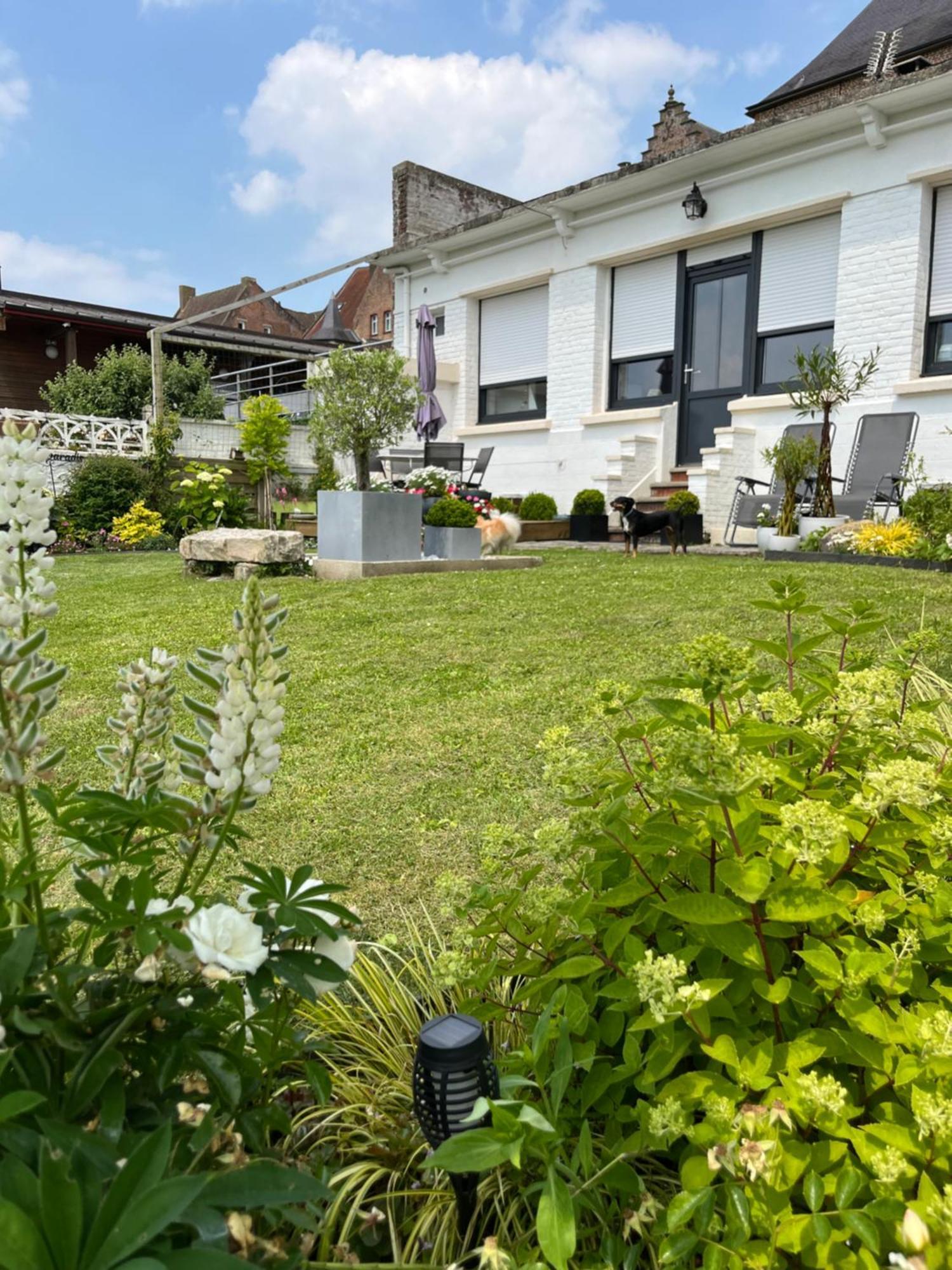Le Petit Paradis Cassel Extérieur photo